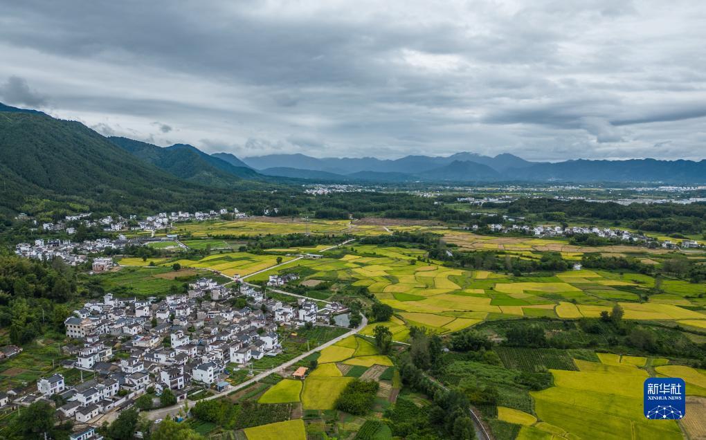 菠菜棋牌发布平台